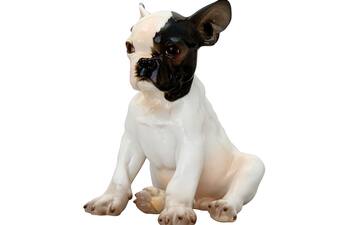 French bulldog sitting No.649/I