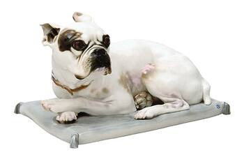 French bulldog with cushion No.554a