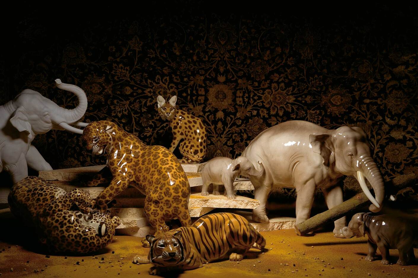 Leopard fighting No.142