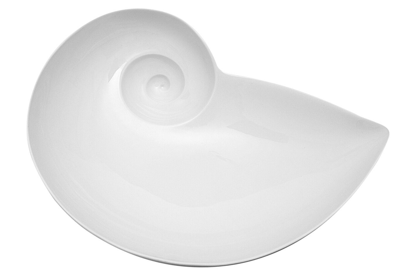 Moon snail bowl
