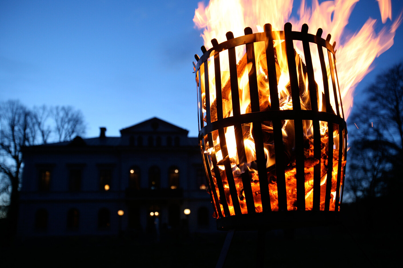 Fire Basket Baron 2