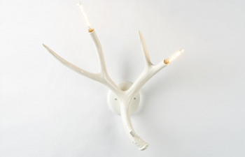 Superordinate Antler Sconce