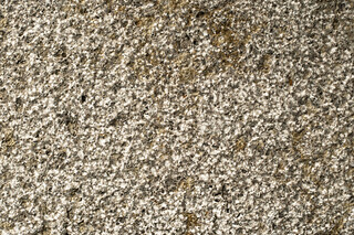 Memphis Ra Muschelkalk gestockt  von  TRACO Manufactur