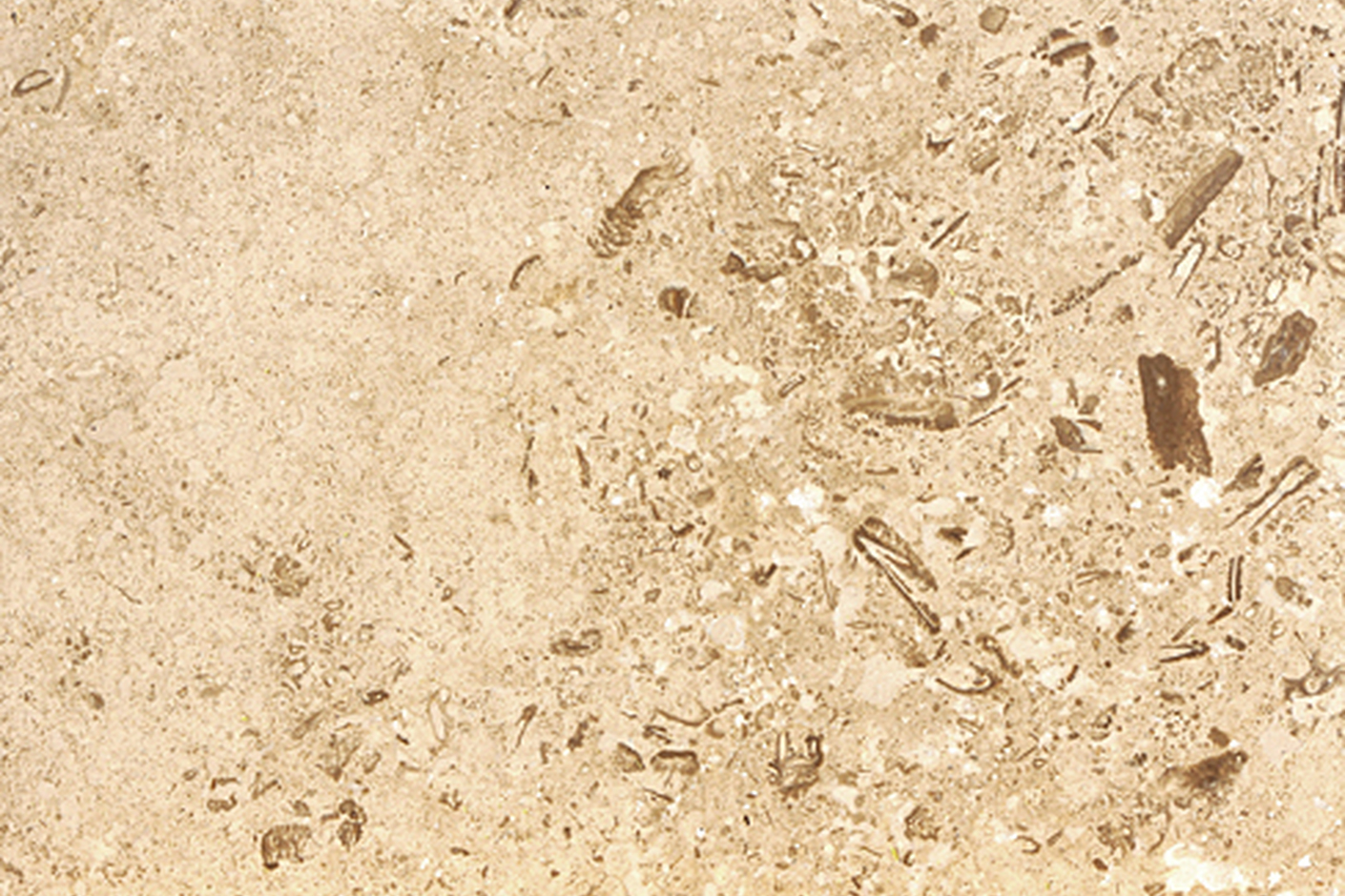Troja Travertine Special Primed 1
