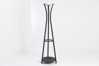 TORO G+  by  van Esch